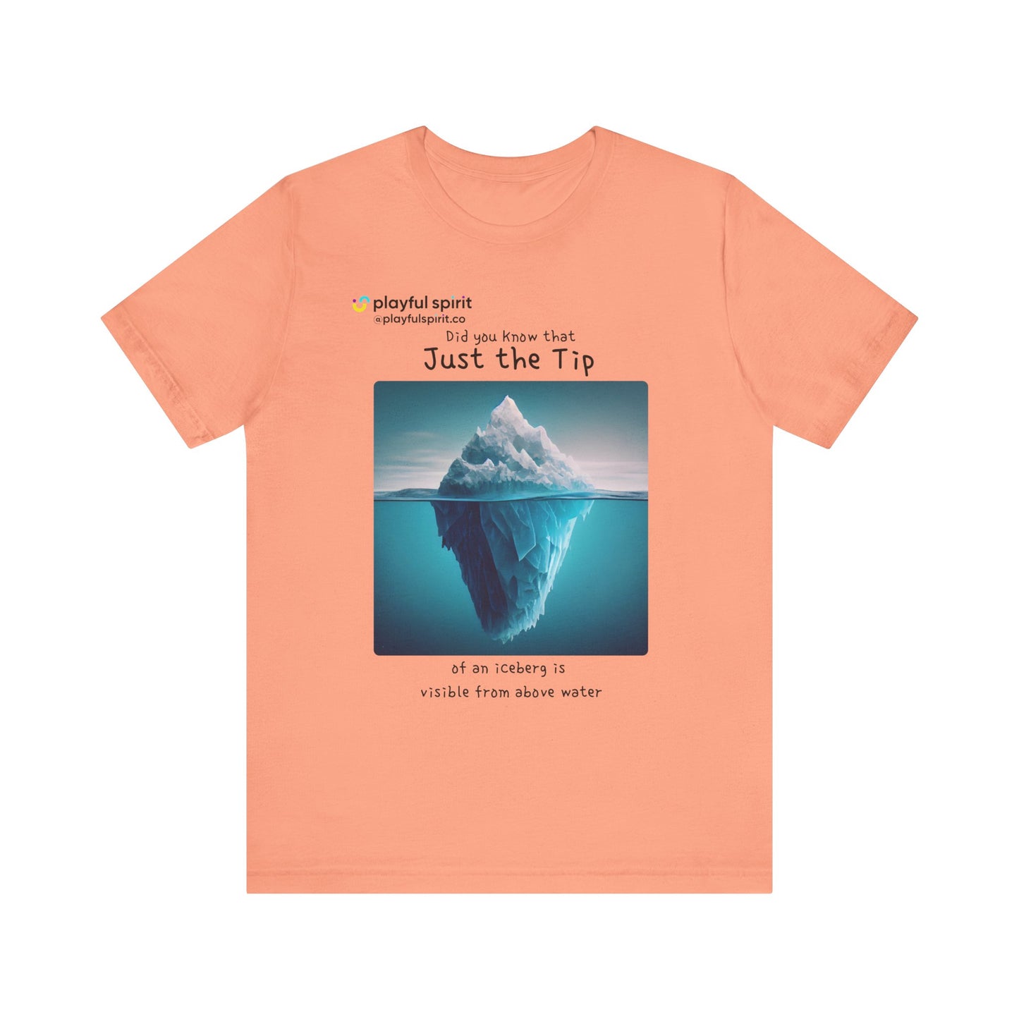 Did you Know that Just the Tip of an iceberg is visible from above water | Shirt